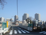 HIGASHI 014.jpg